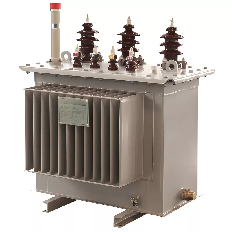 ترانسفورماتور غوطه ور در روغن 100KVA 11KV